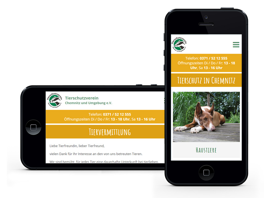 Webseite responsive Webdesign erstellt von Digital Connect aus Chemnitz